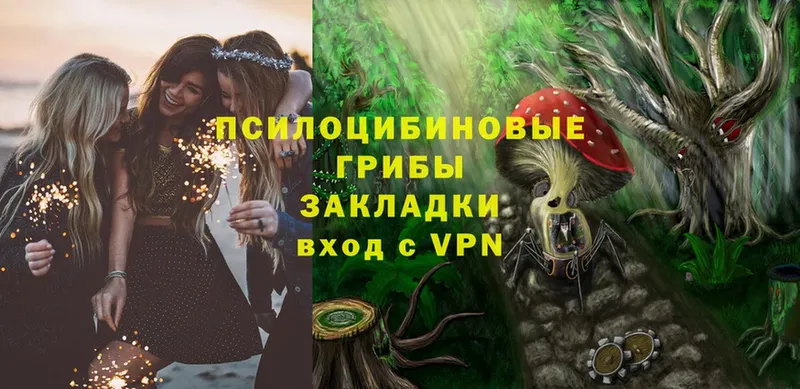 Псилоцибиновые грибы Magic Shrooms  купить наркоту  kraken   Фокино 